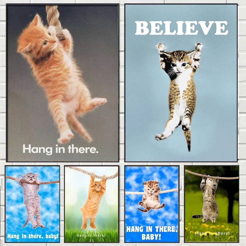 Hang In There Baby Cute Cat Yo - Baby Food Oil avis et prix