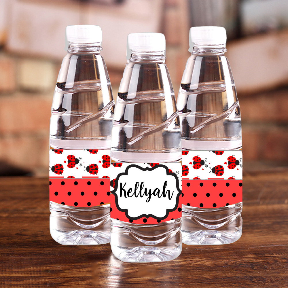 Personalised Ladybug Red Polka - Baby Food Bottle avis et prix