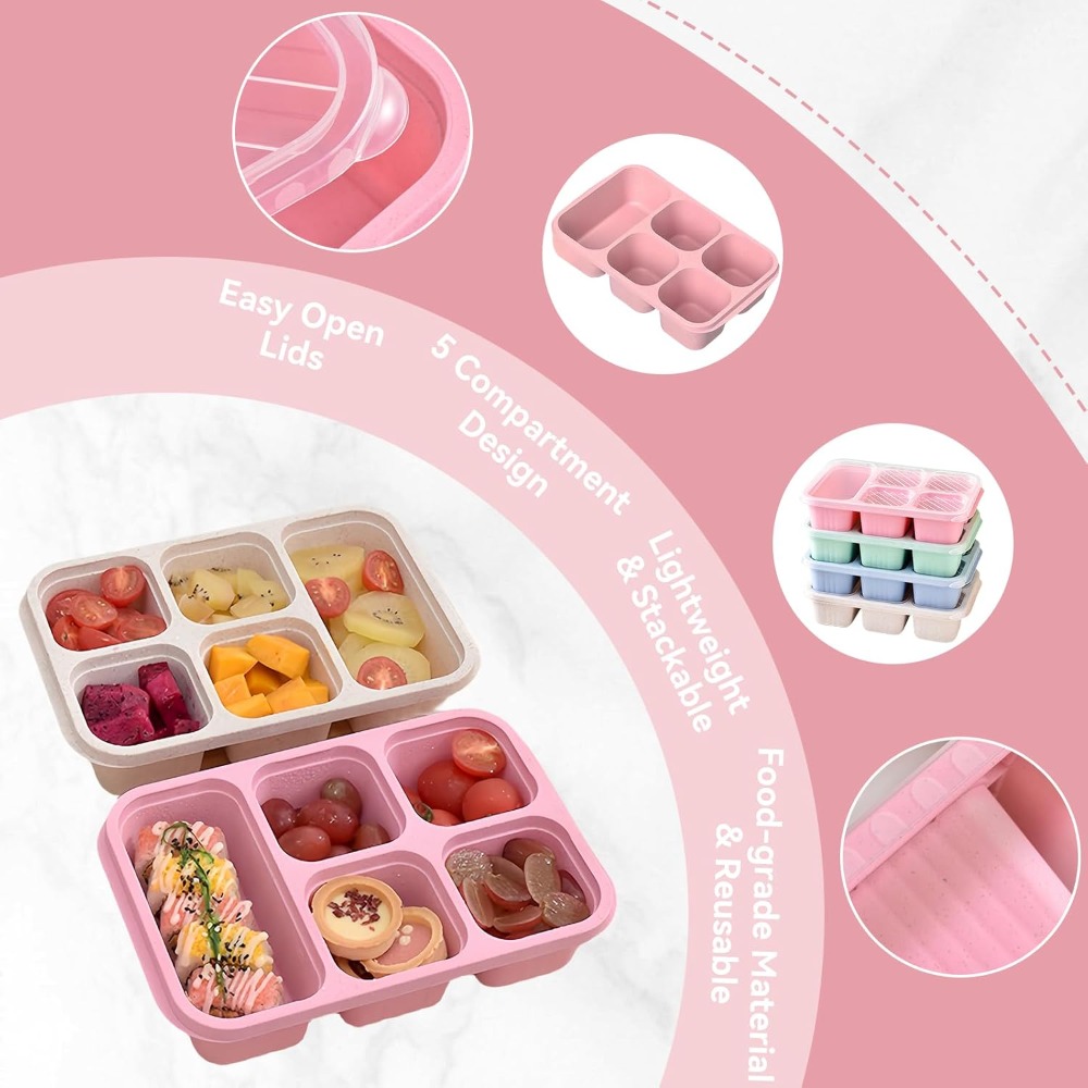 Bento Lunch Box with Reusable  - Snack Container Travel avis et prix